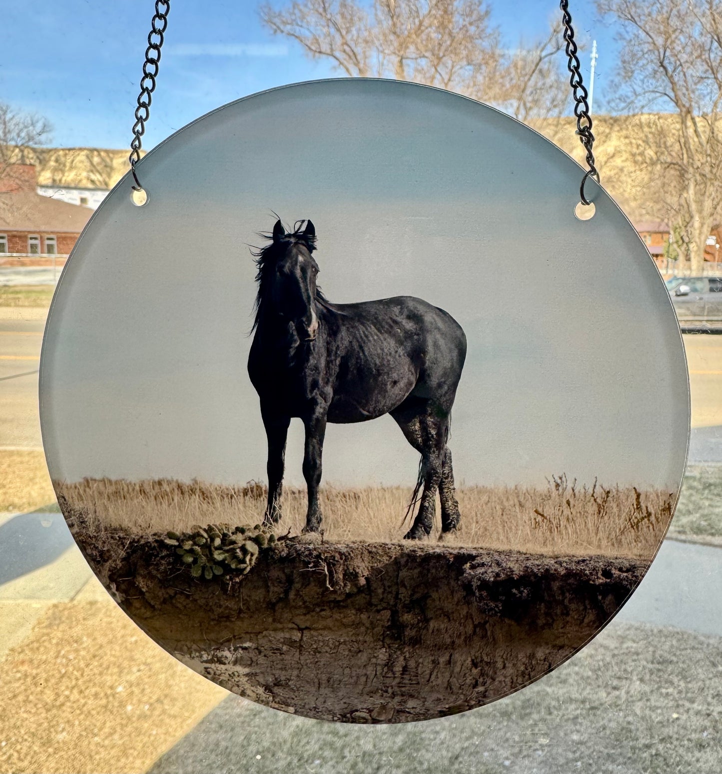 Chasing Horses Sun Catchers