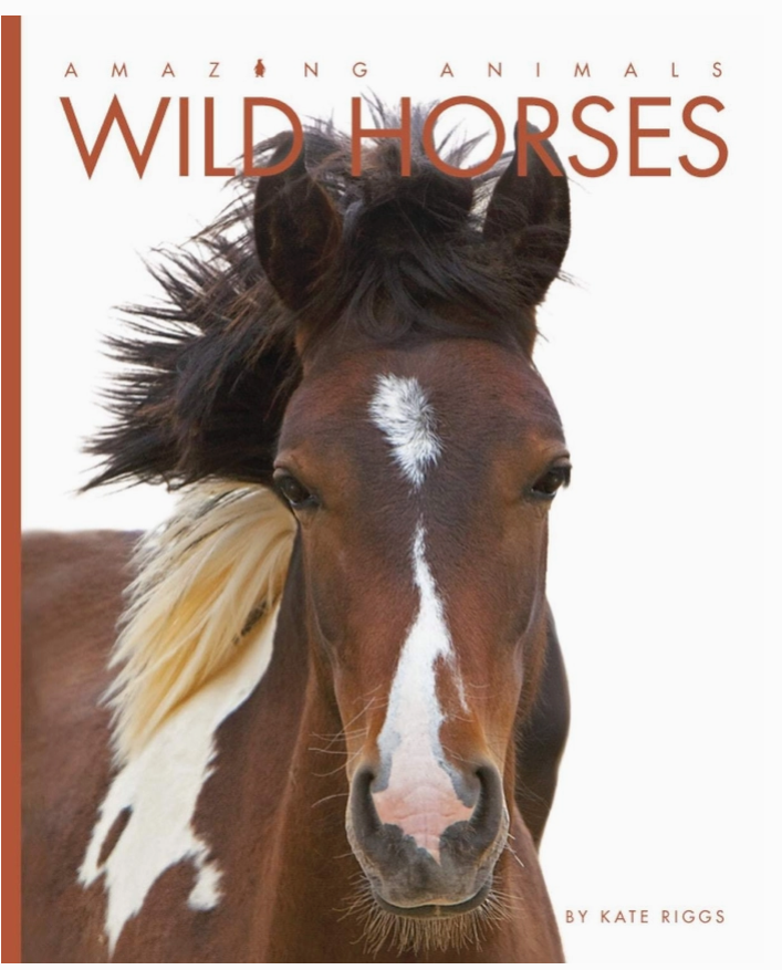 Amazing Animals: Wild Horses
