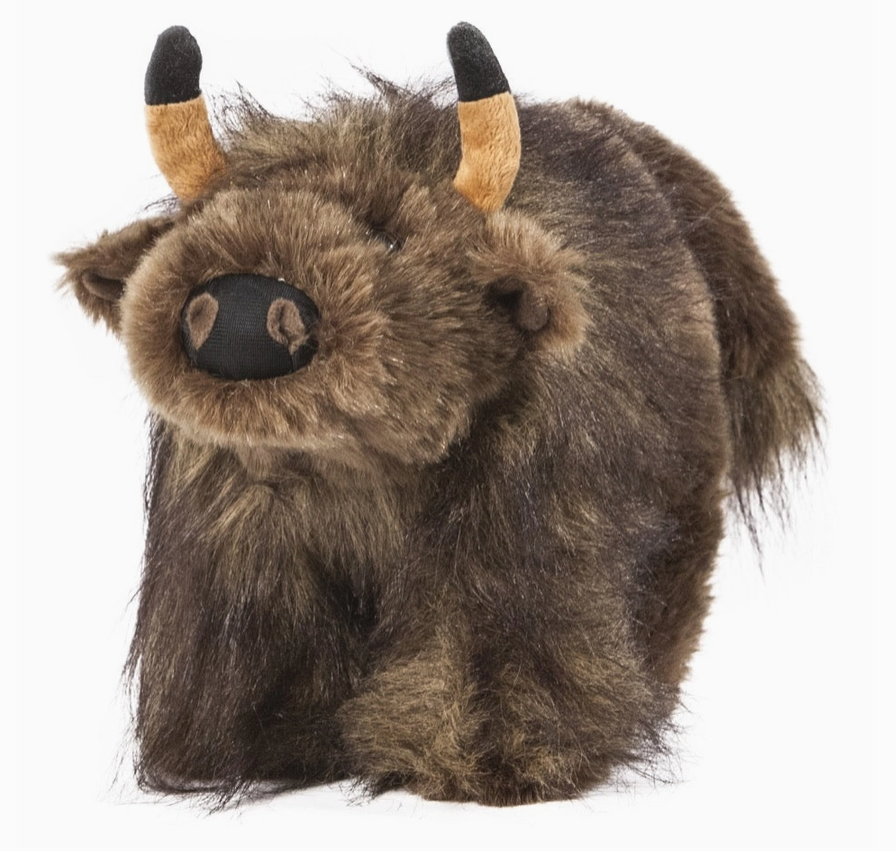 Buffalo Coin Bank