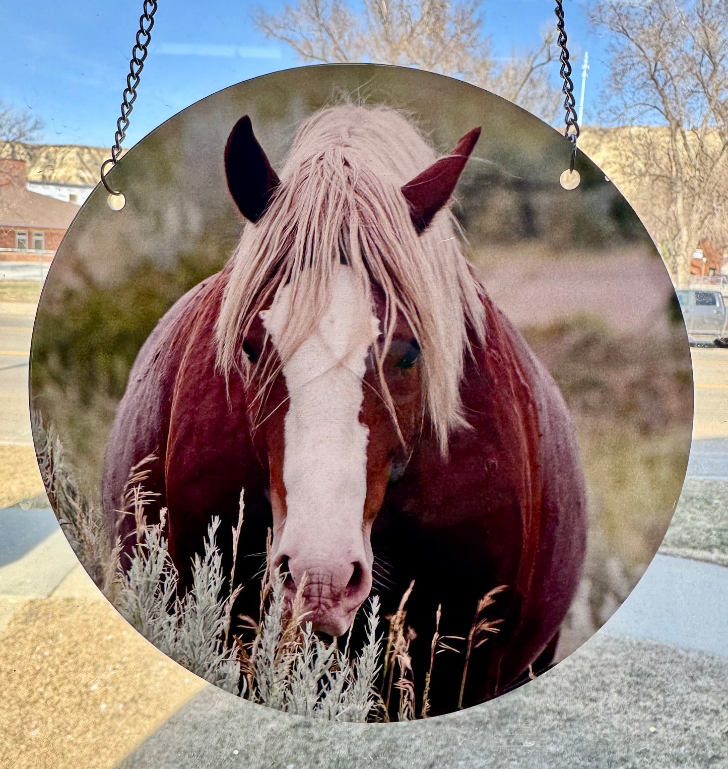 Chasing Horses Sun Catchers