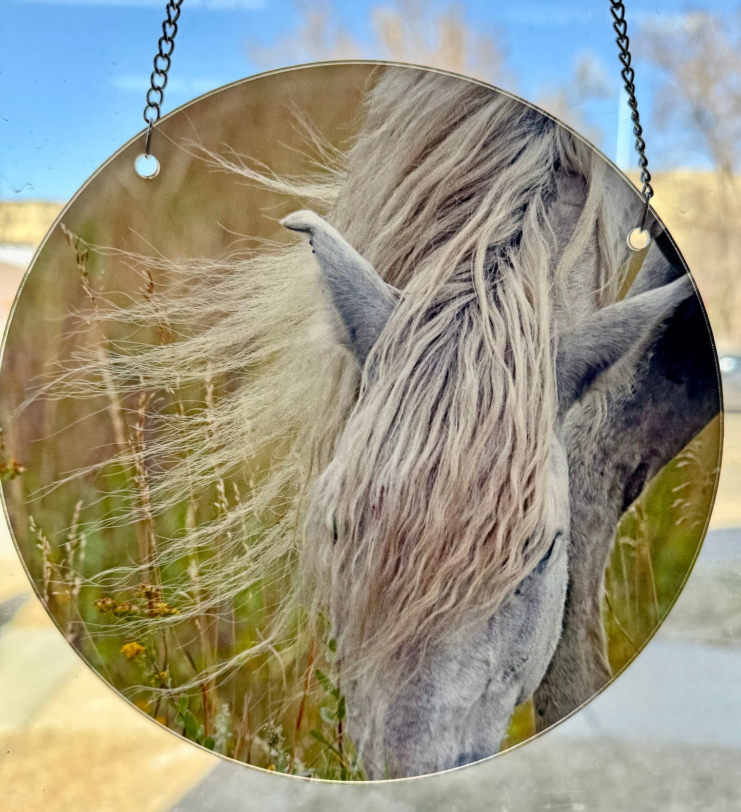 Chasing Horses Sun Catchers