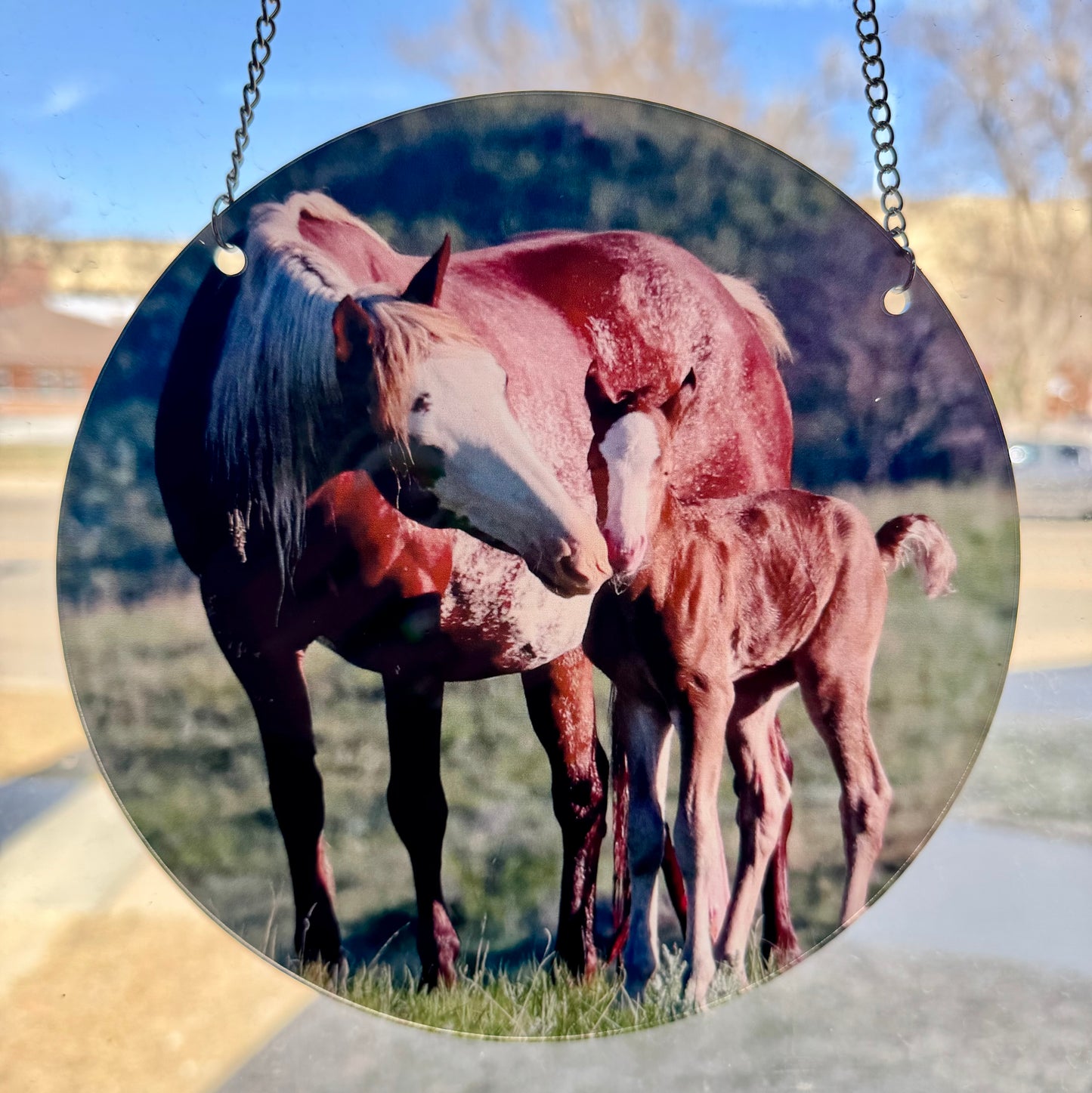 Chasing Horses Sun Catchers