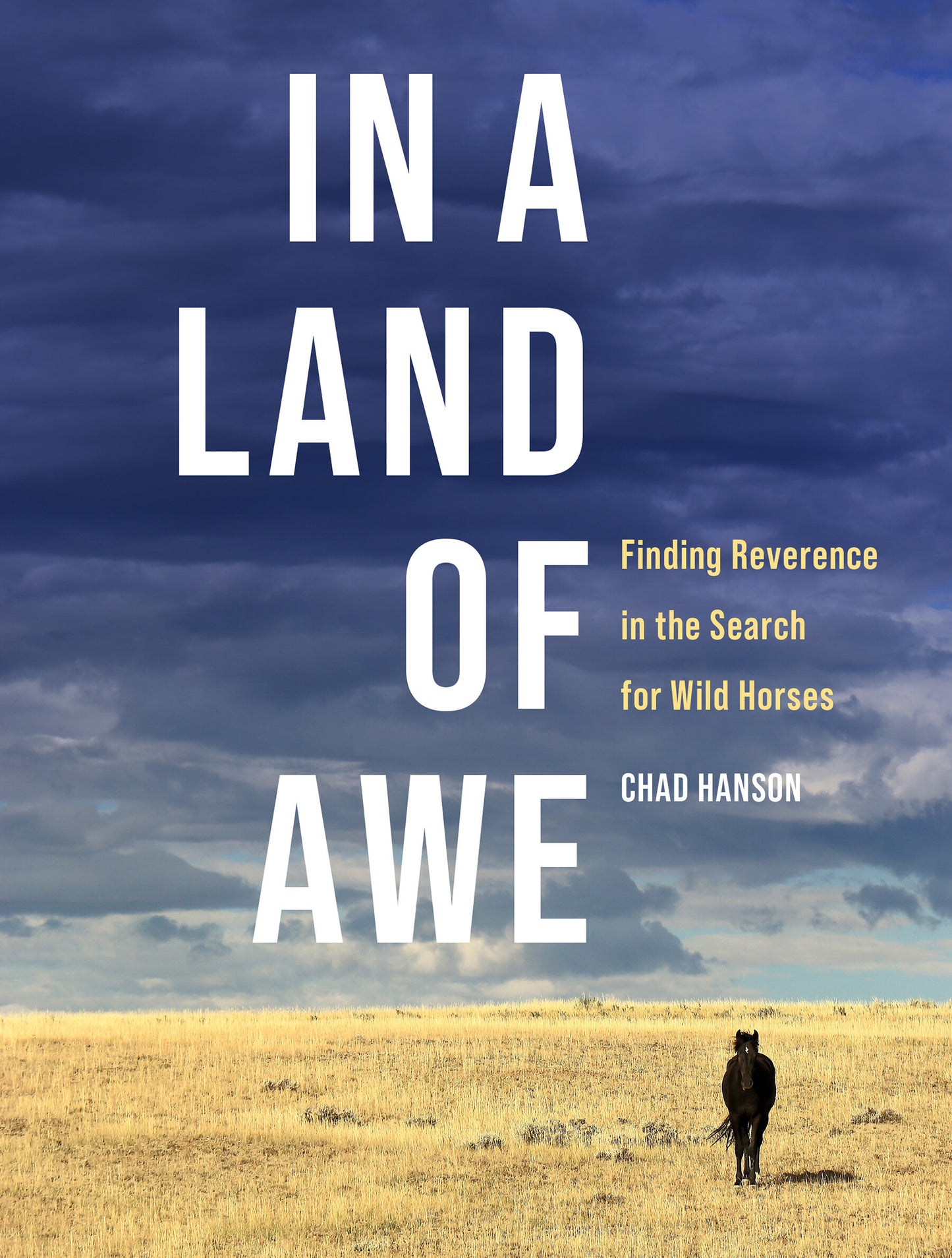 In a Land of Awe Finding Reverence in the Search for Wild Horses