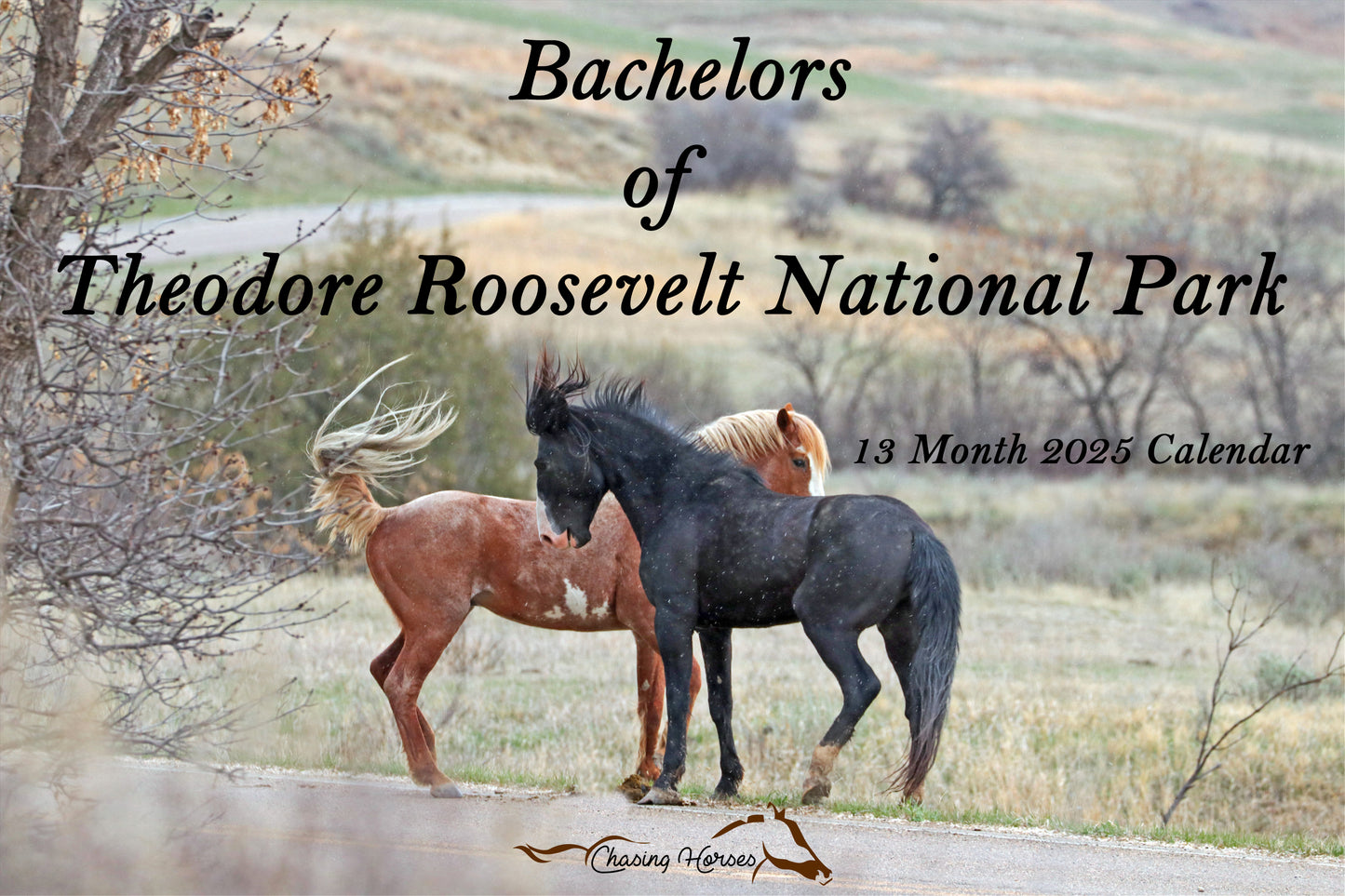 Chasing Horses 13-month 2025 calendars