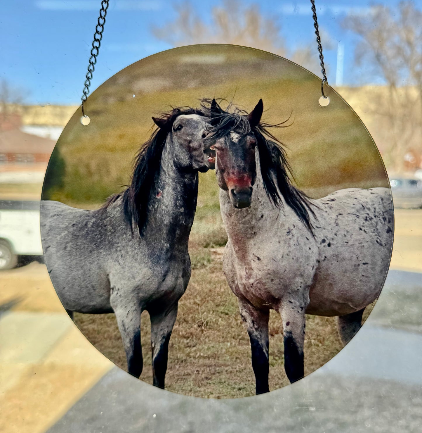 Chasing Horses Sun Catchers