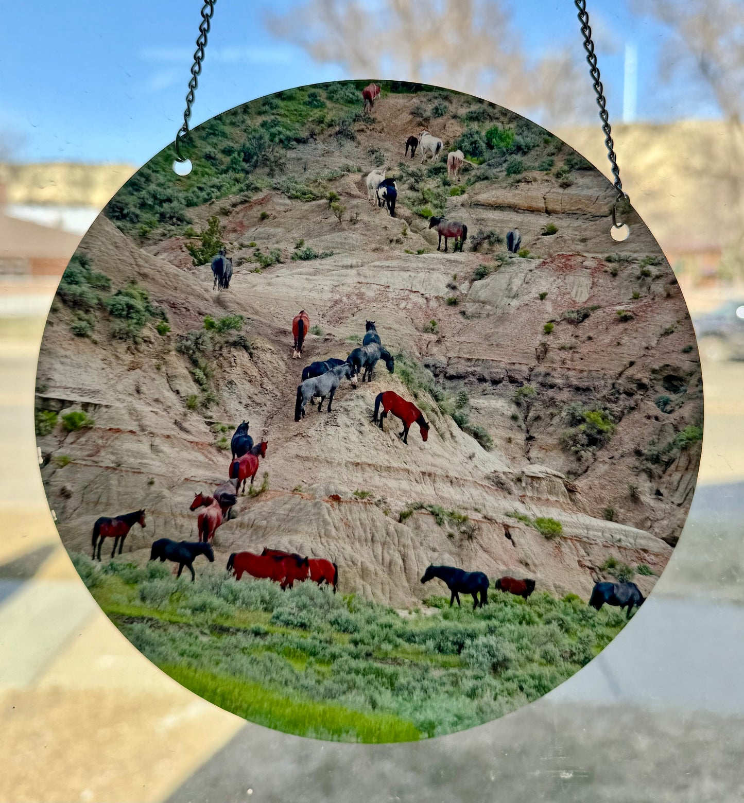 Chasing Horses Sun Catchers