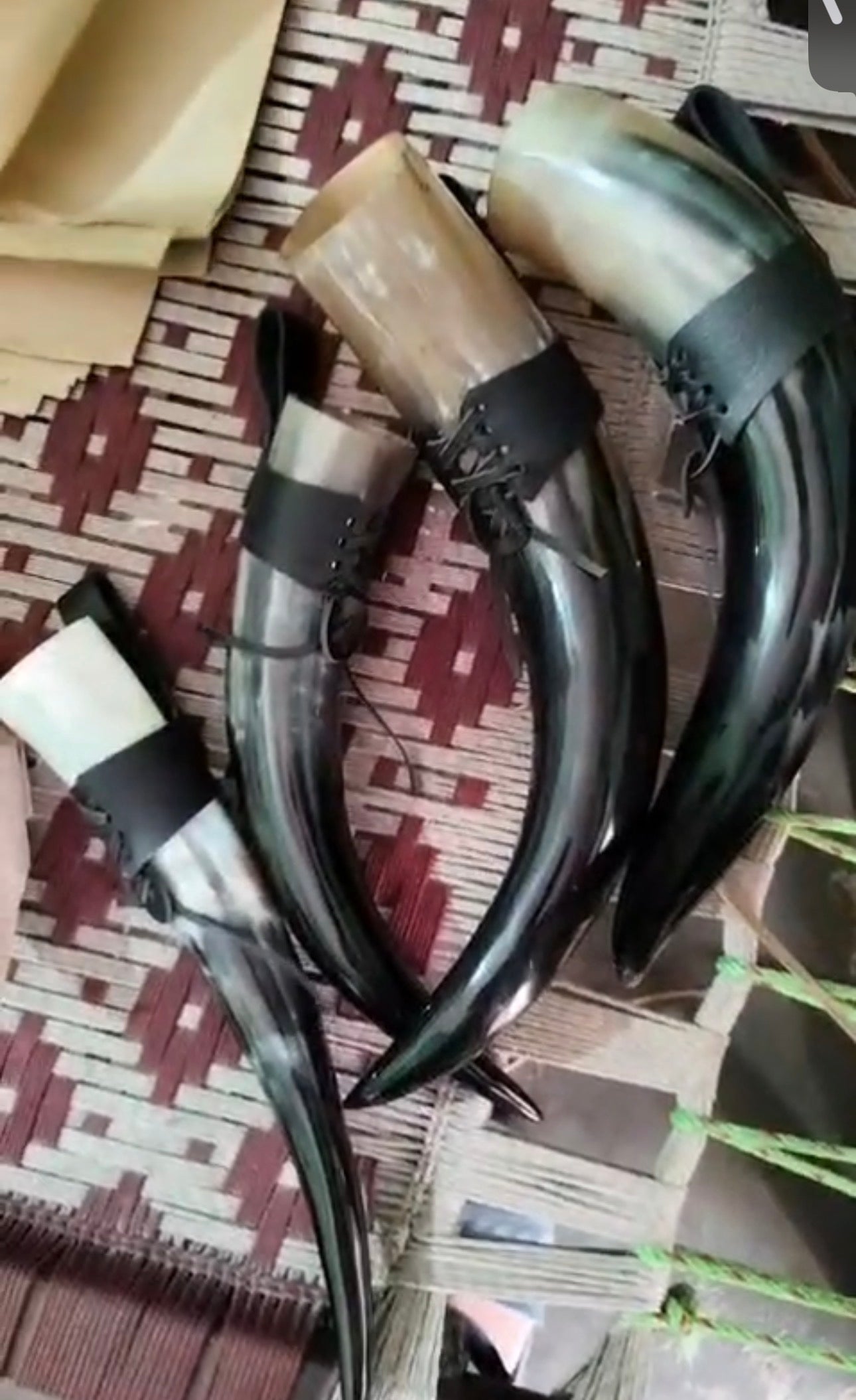 Bison Drinking Horn