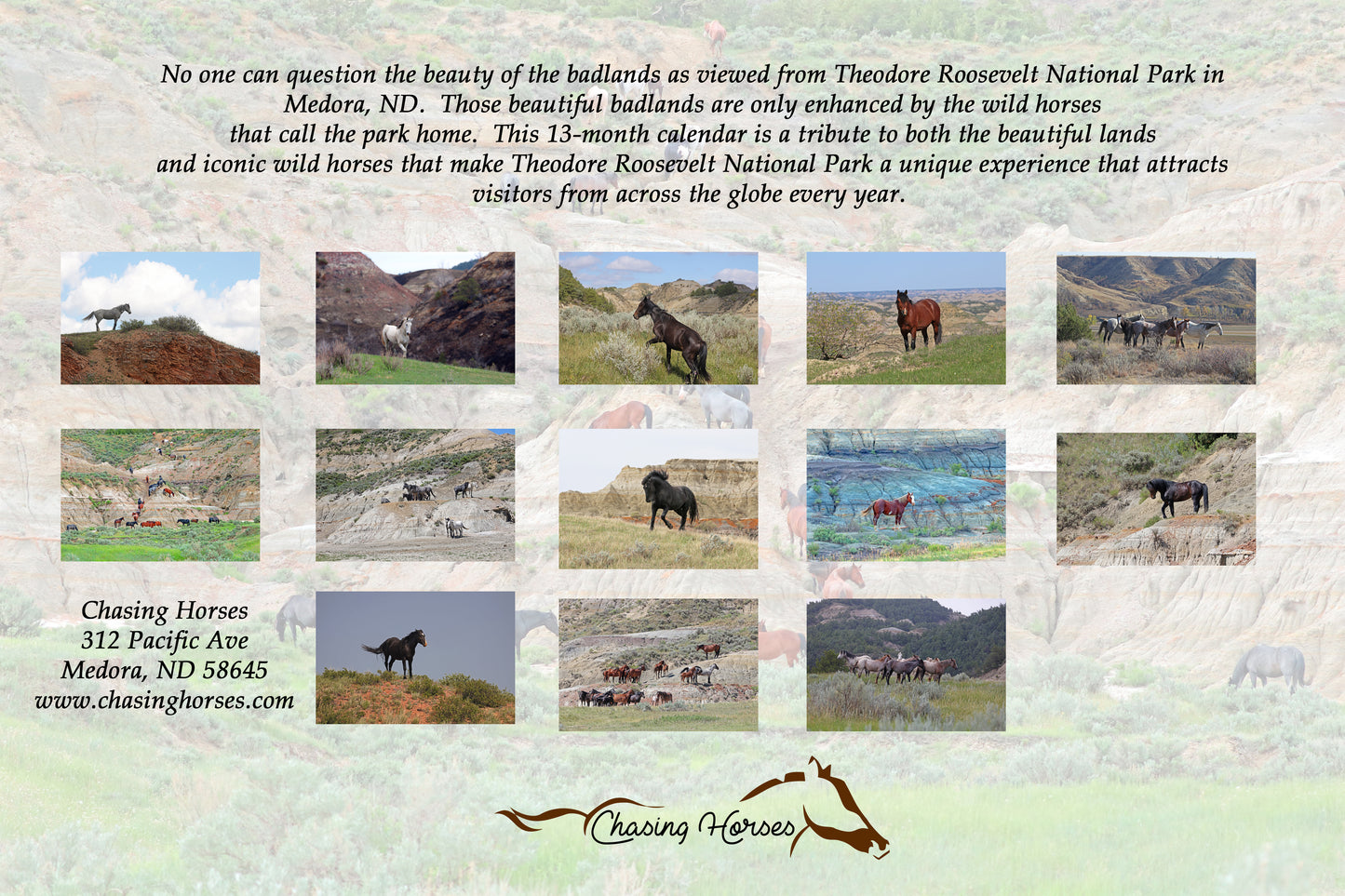 Chasing Horses 13-month 2026 calendars