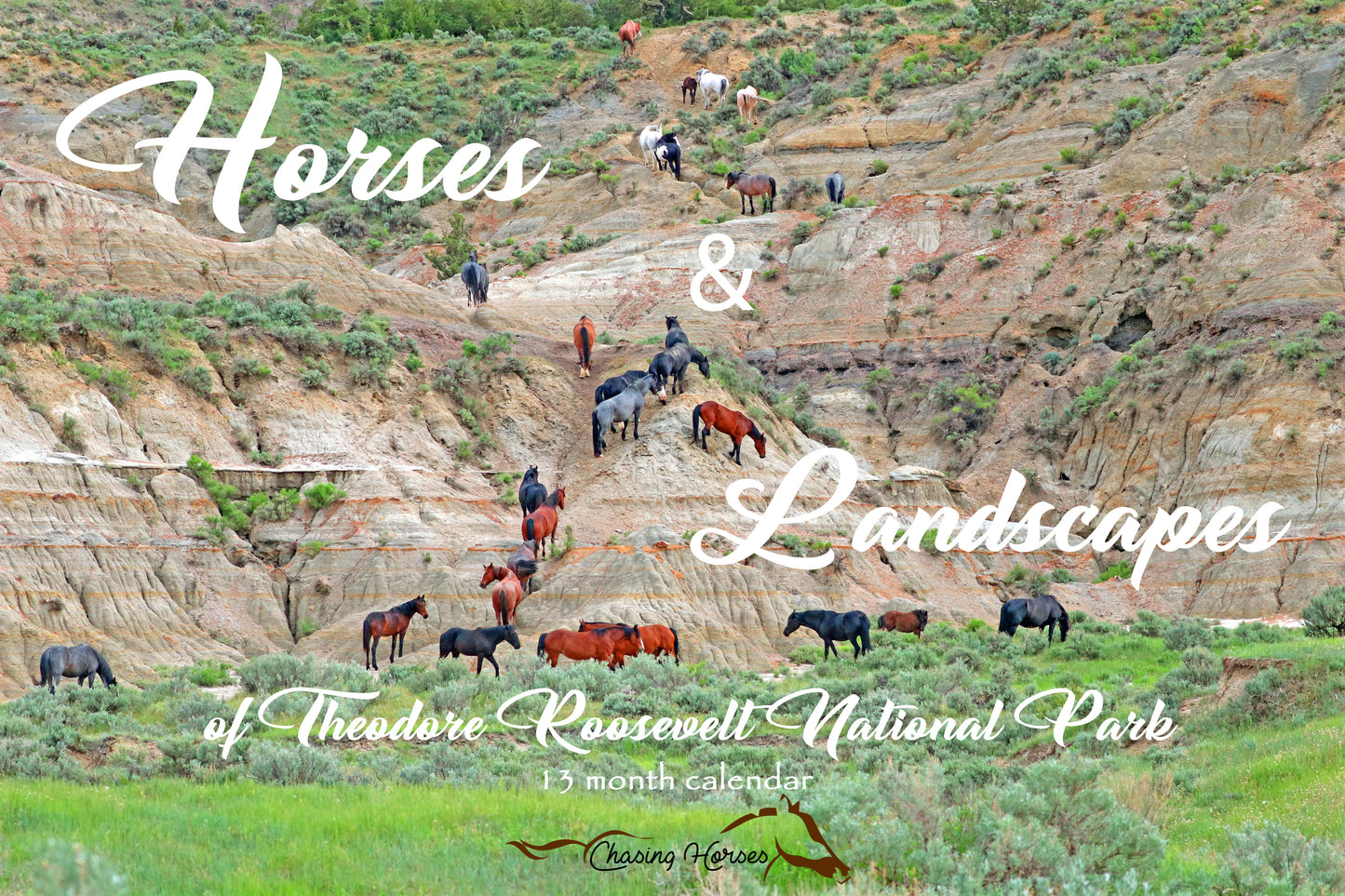 Chasing Horses 13-month 2026 calendars