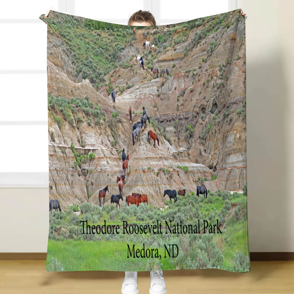50x60 Flannel throw 2025