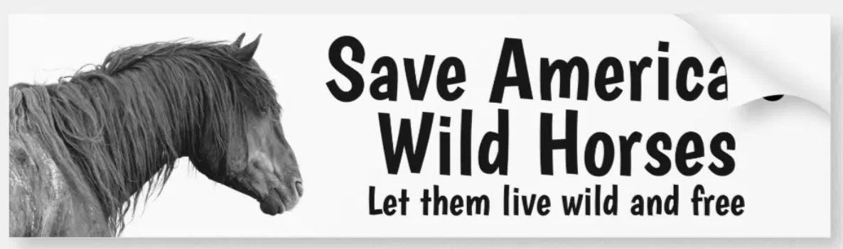 SOWH Bumper sticker
