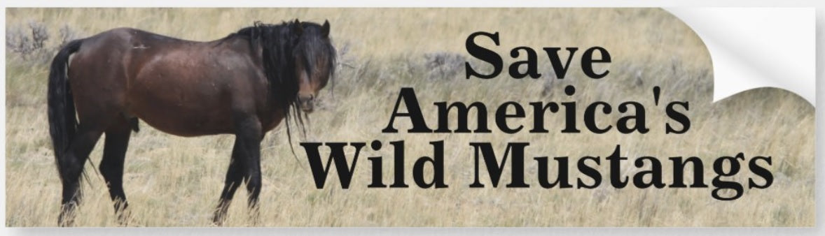 SOWH Bumper sticker