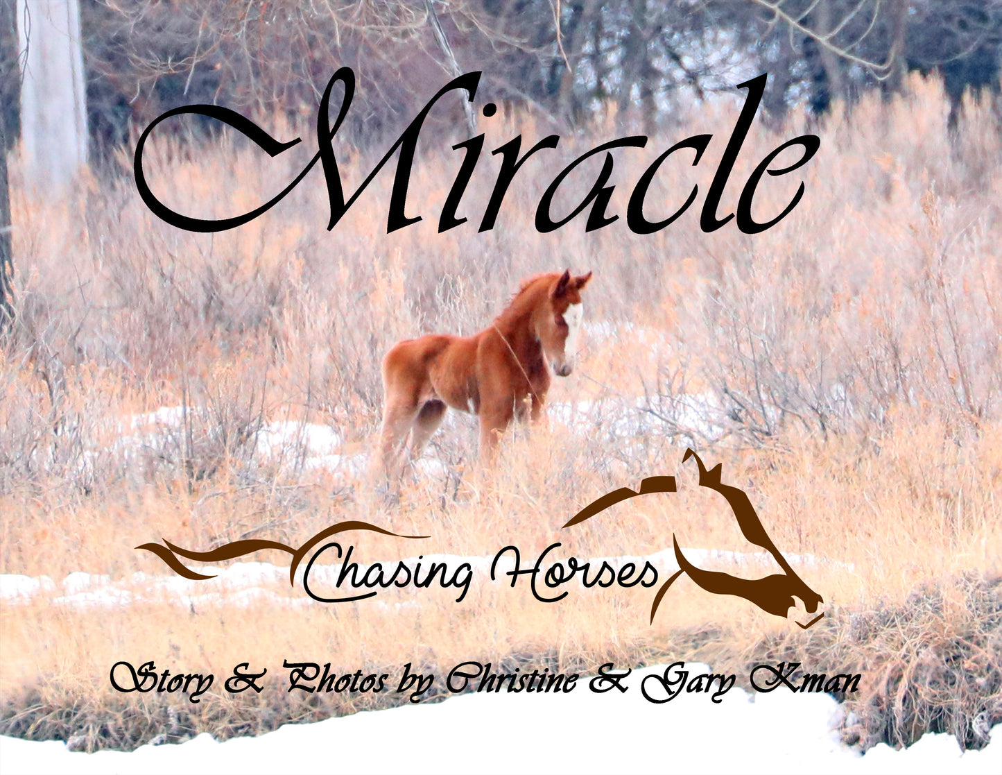 Miracle book