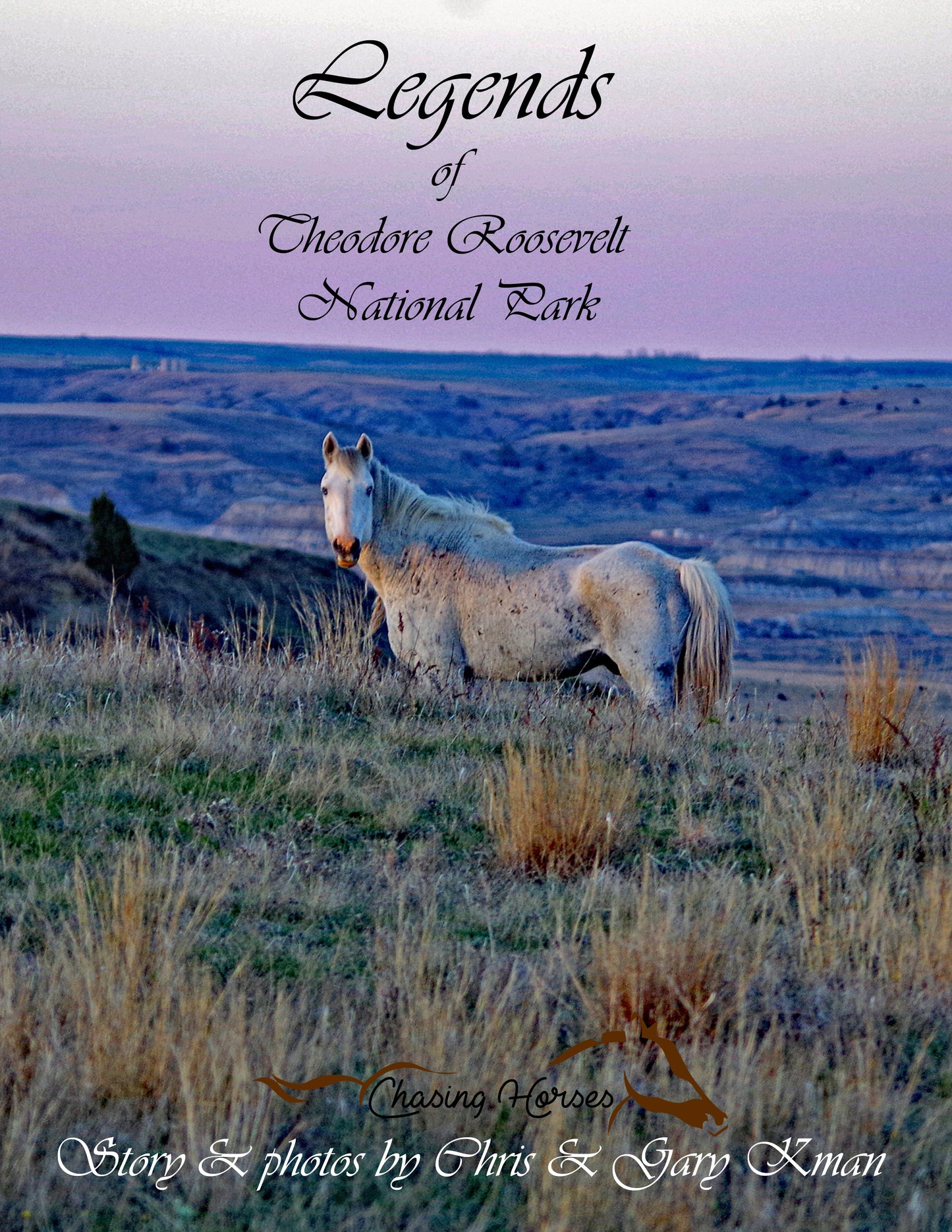 Legends of Theodore Roosevelt National Park