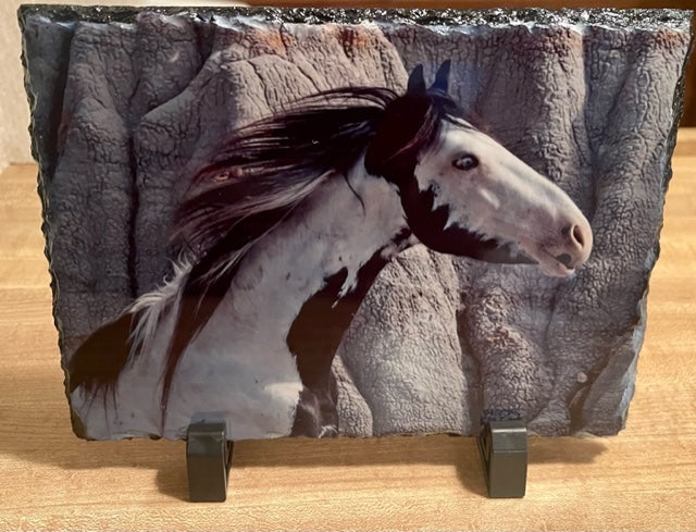 Colt Boomer 8 5x7 slate print