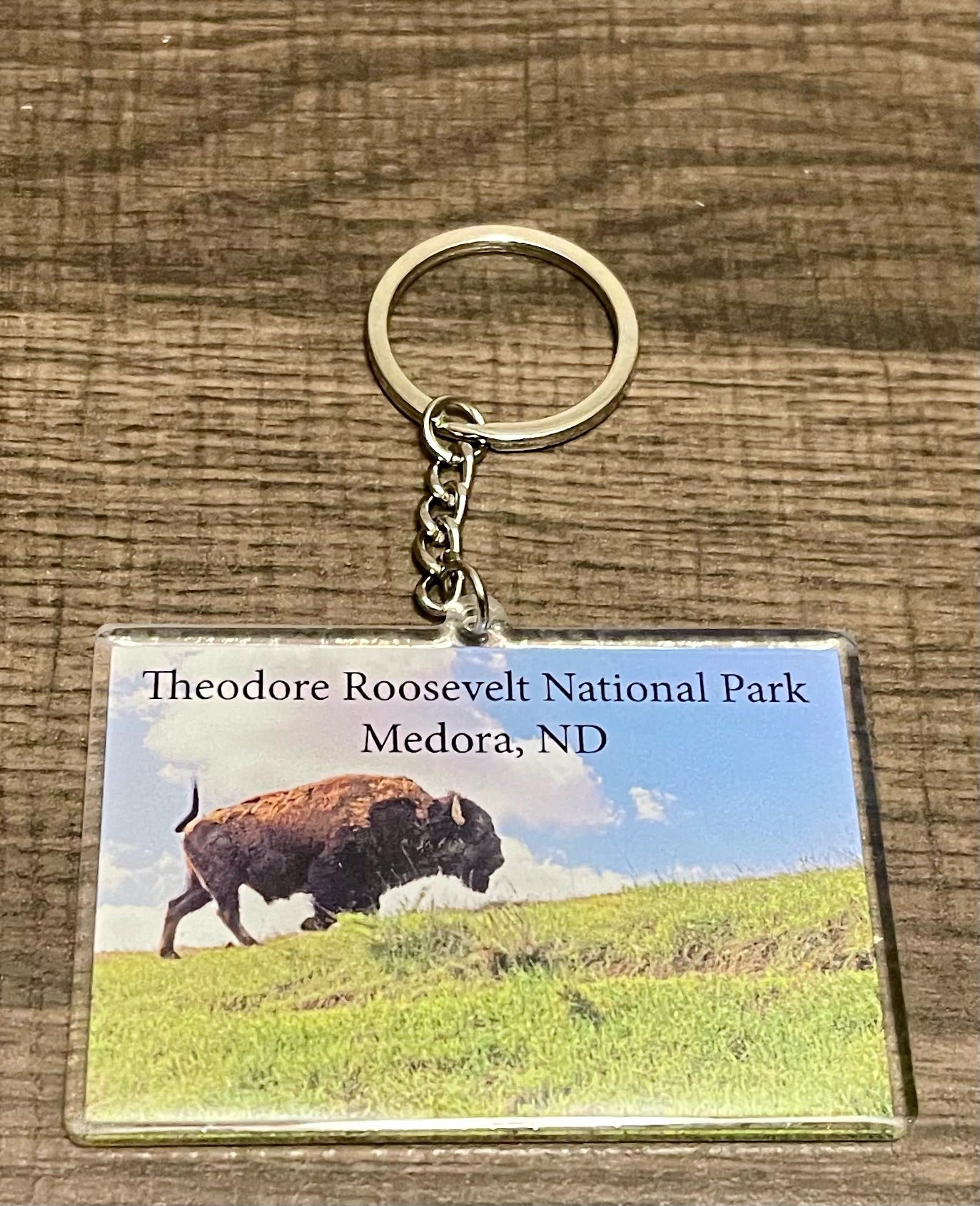 Chasing Horses Acrylic Key chains