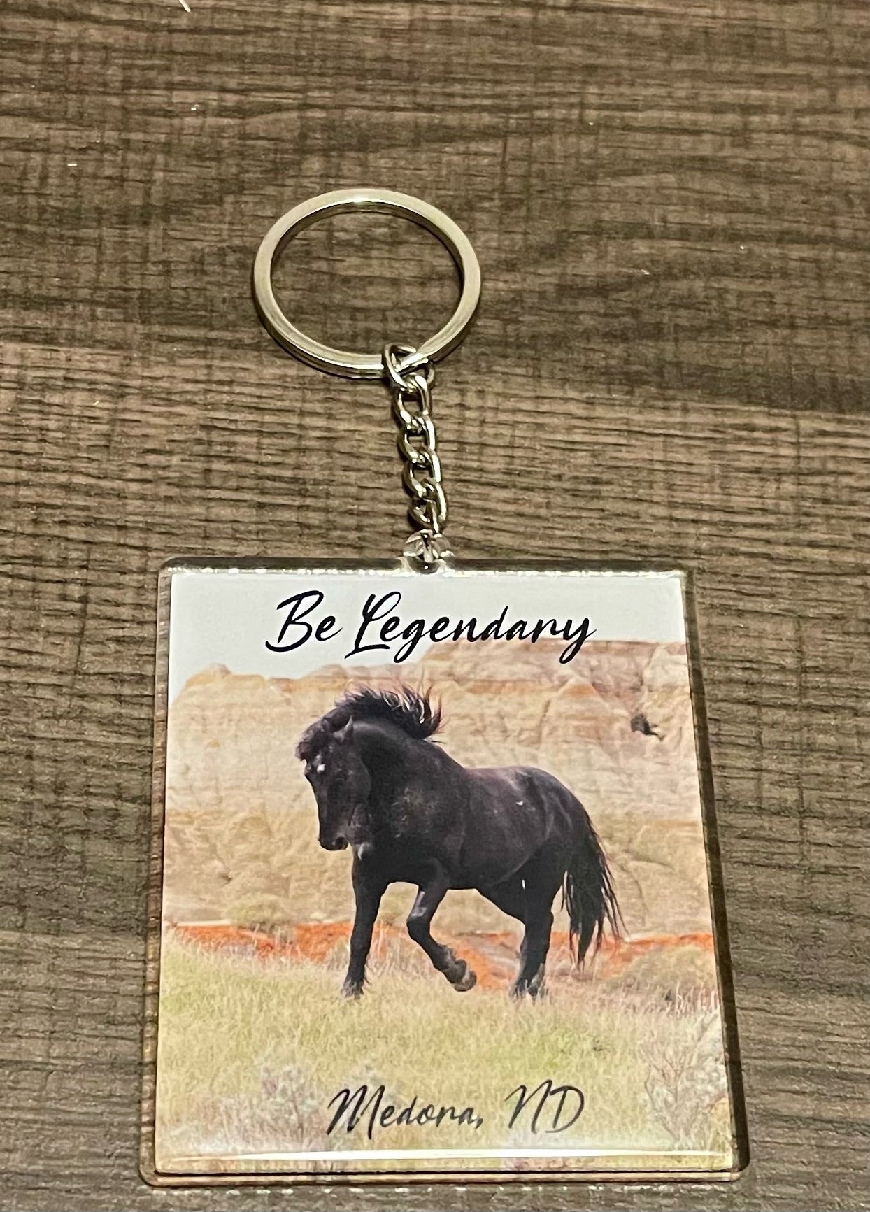 Chasing Horses Acrylic Key chains