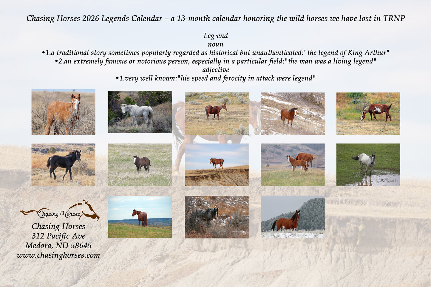 Chasing Horses 13-month 2026 calendars