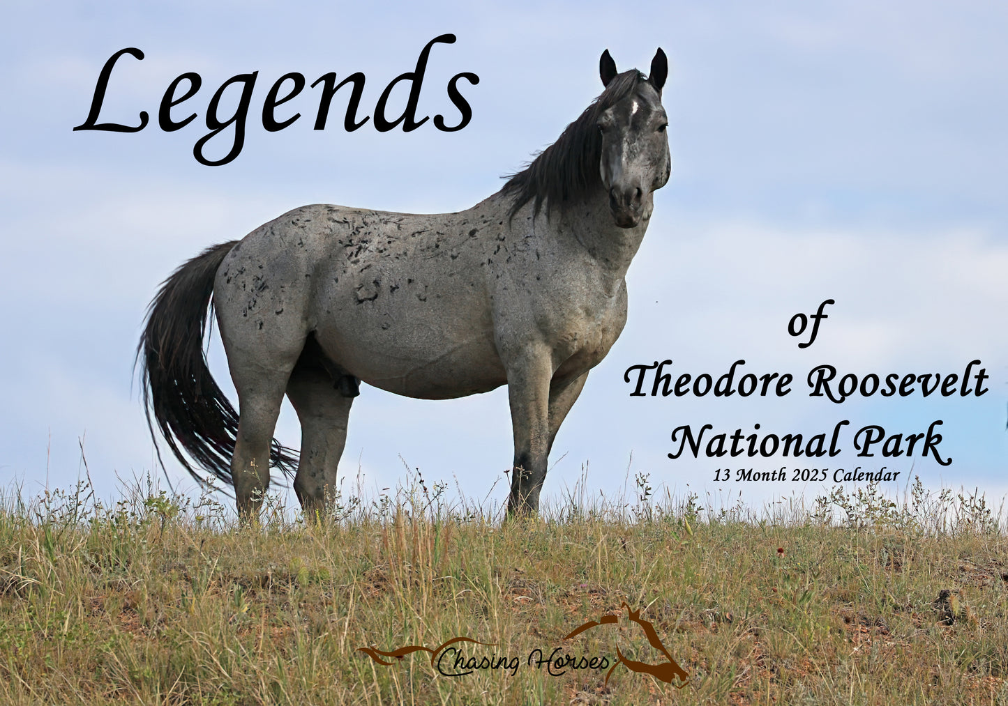 Chasing Horses 13-month 2025 calendars