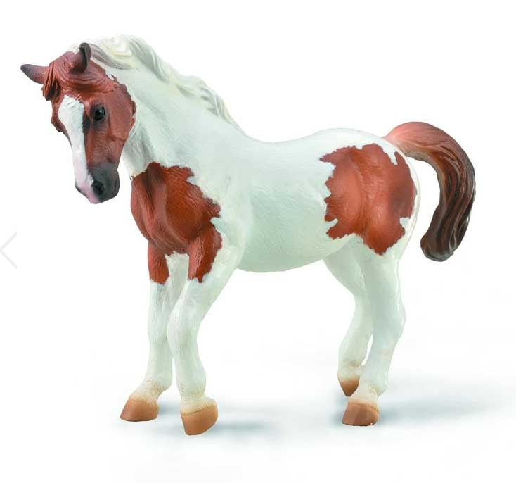 Breyer CollectA CHINCOTEAGUE PONY - CHESTNUT PINTO