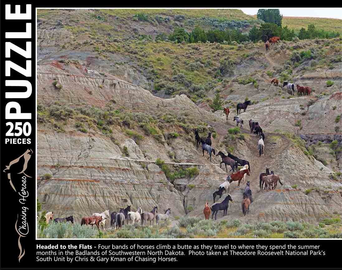Chasing Horses 250 piece puzzles