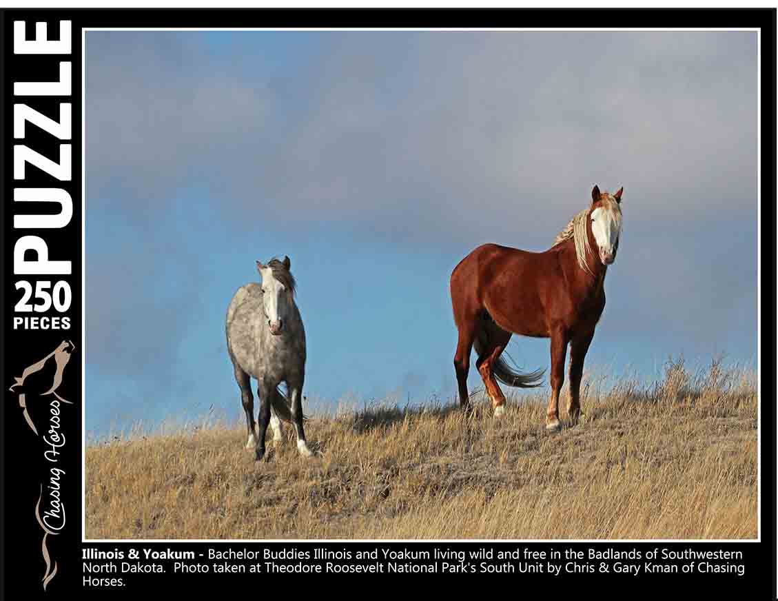 Chasing Horses 250 piece puzzles