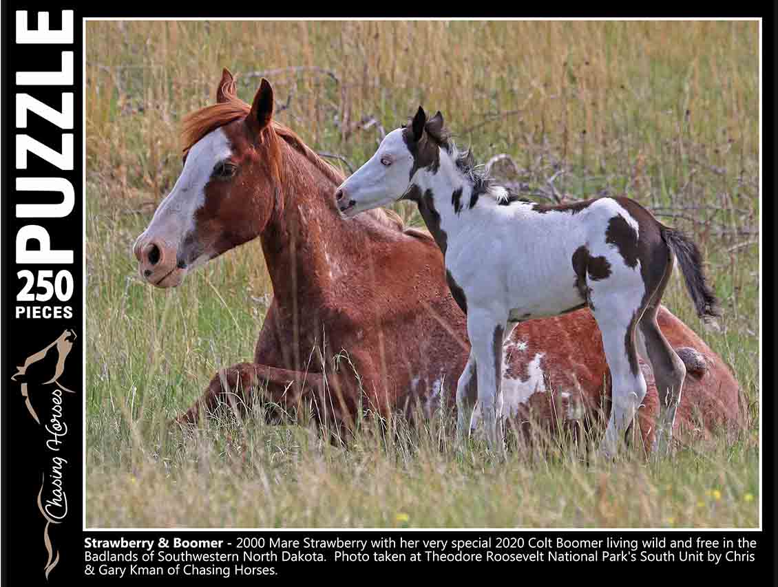 Chasing Horses 250 piece puzzles