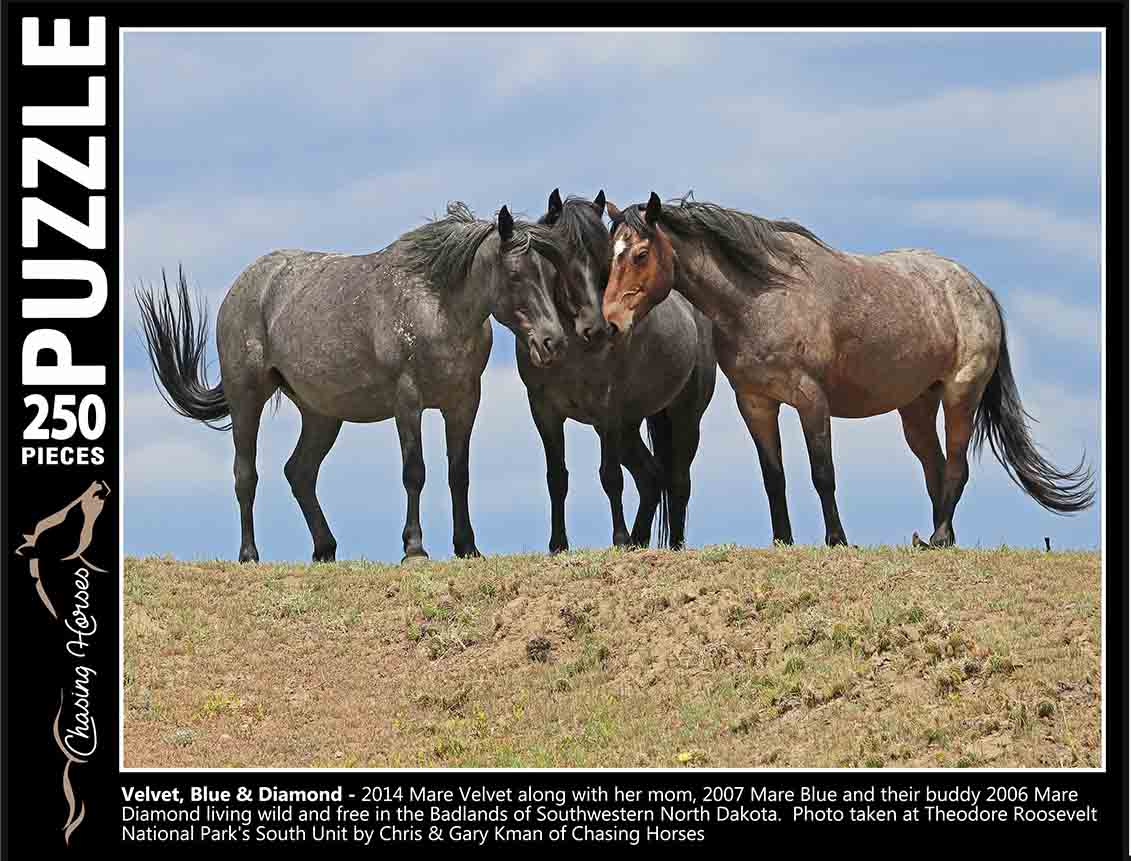 Chasing Horses 250 piece puzzles