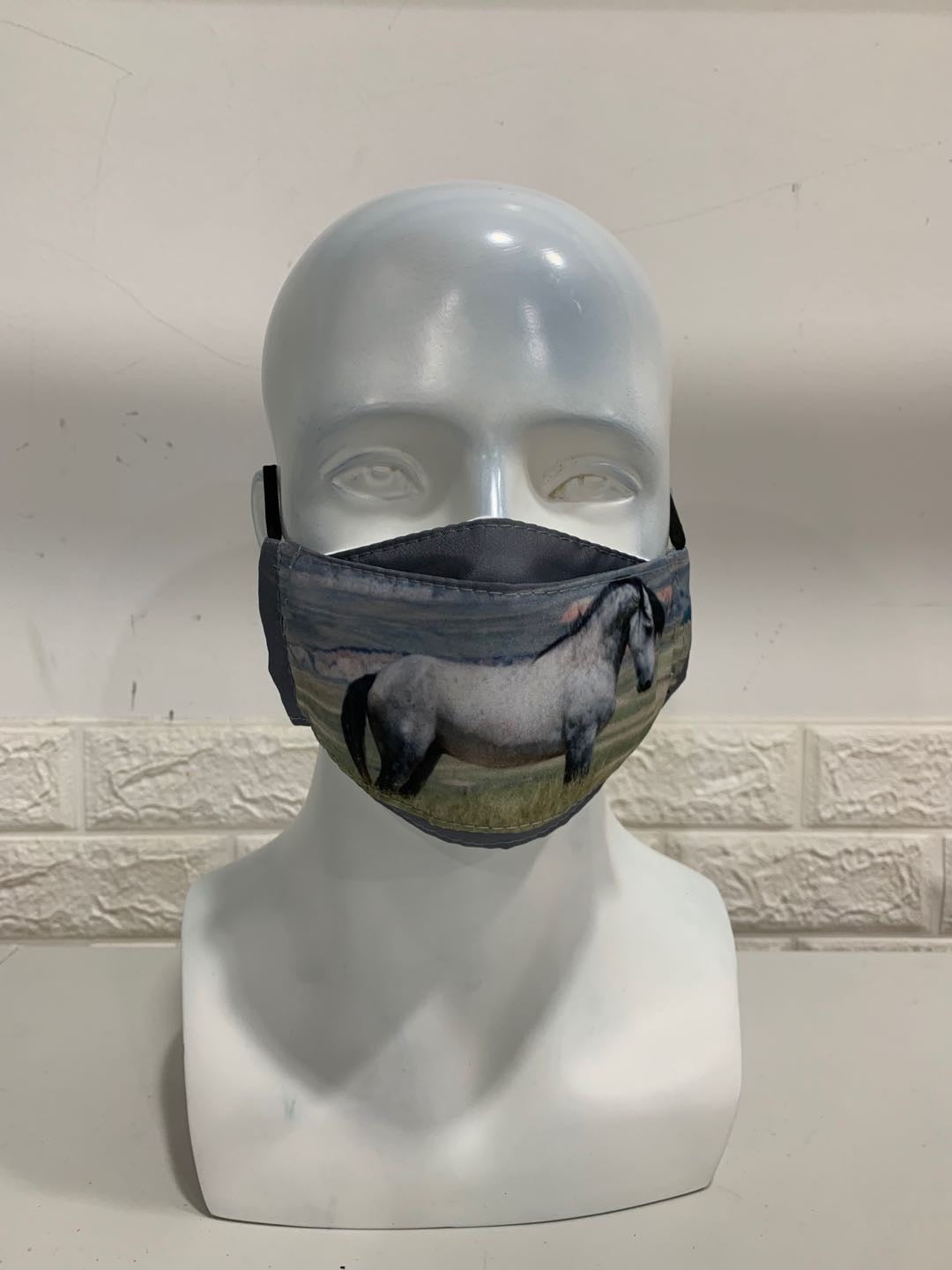 Chasing Horses Face Masks - 2nd release