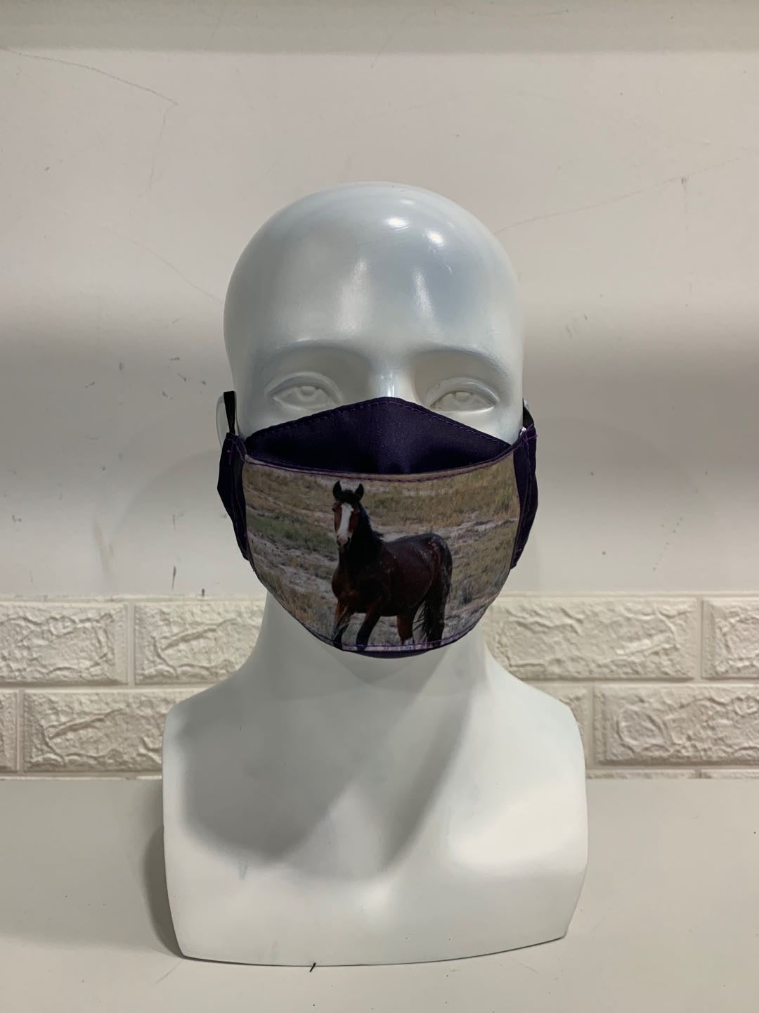 Chasing Horses Face Masks - 2nd release