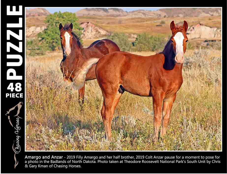 Chasing Horses 48 piece puzzles