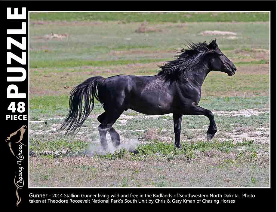 Chasing Horses 48 piece puzzles