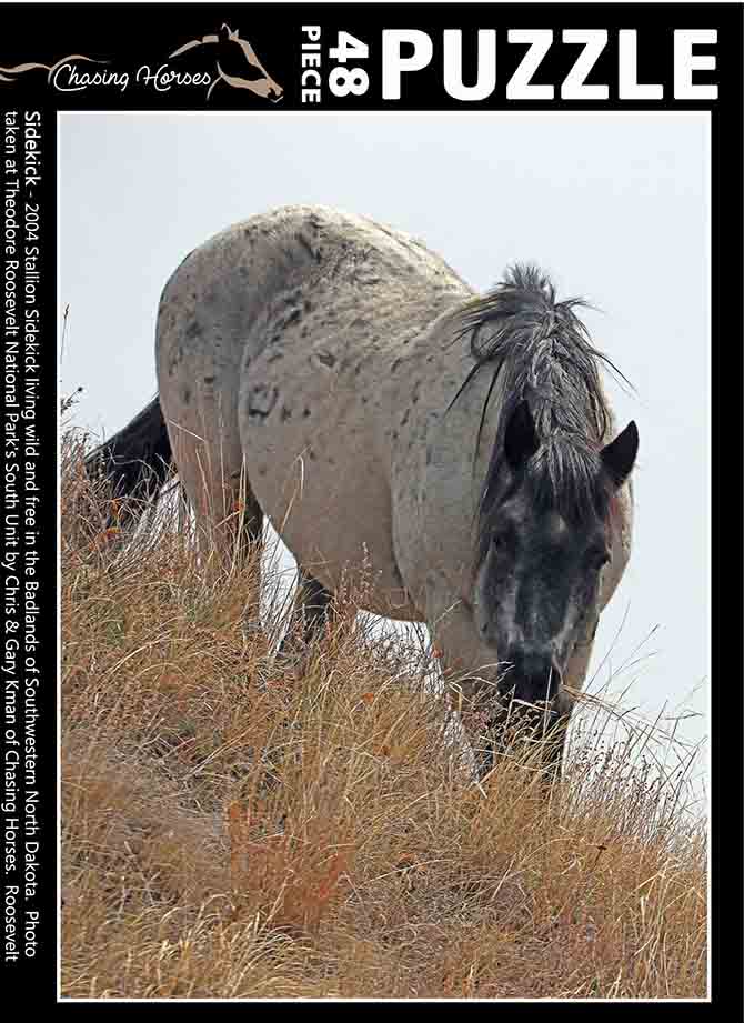 Chasing Horses 48 piece puzzles