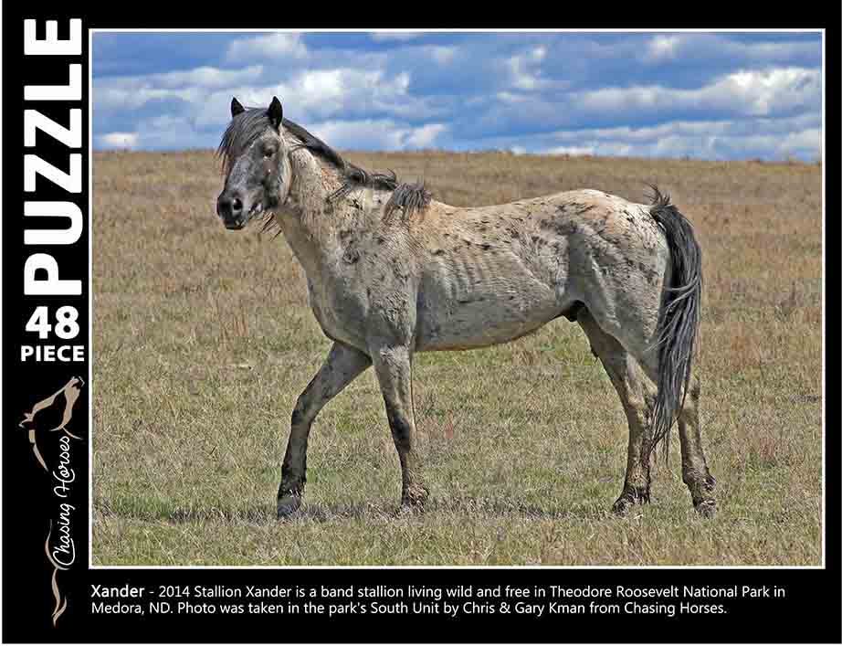 Chasing Horses 48 piece puzzles