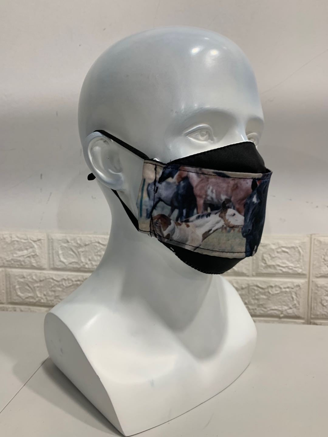 Chasing Horses Face Masks - 2nd release