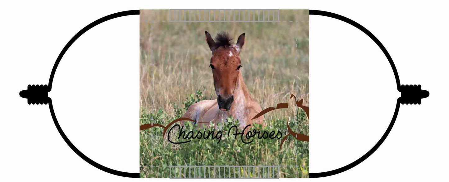 Chasing Horses Children's Face Masks