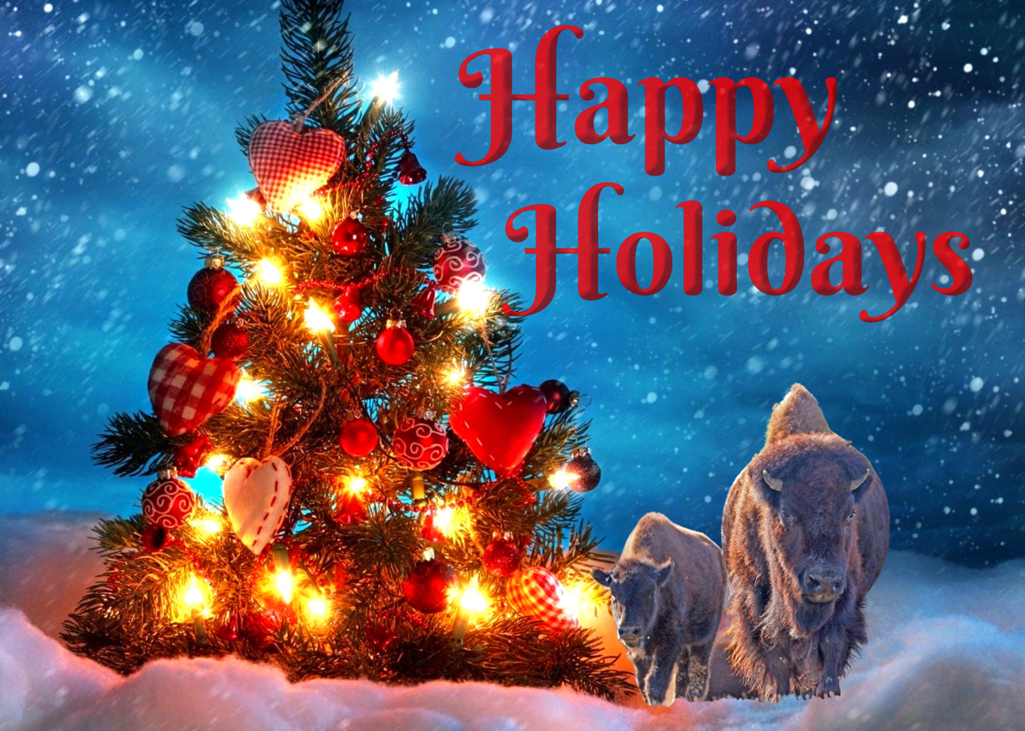 2021 Chasing Horses Christmas Card