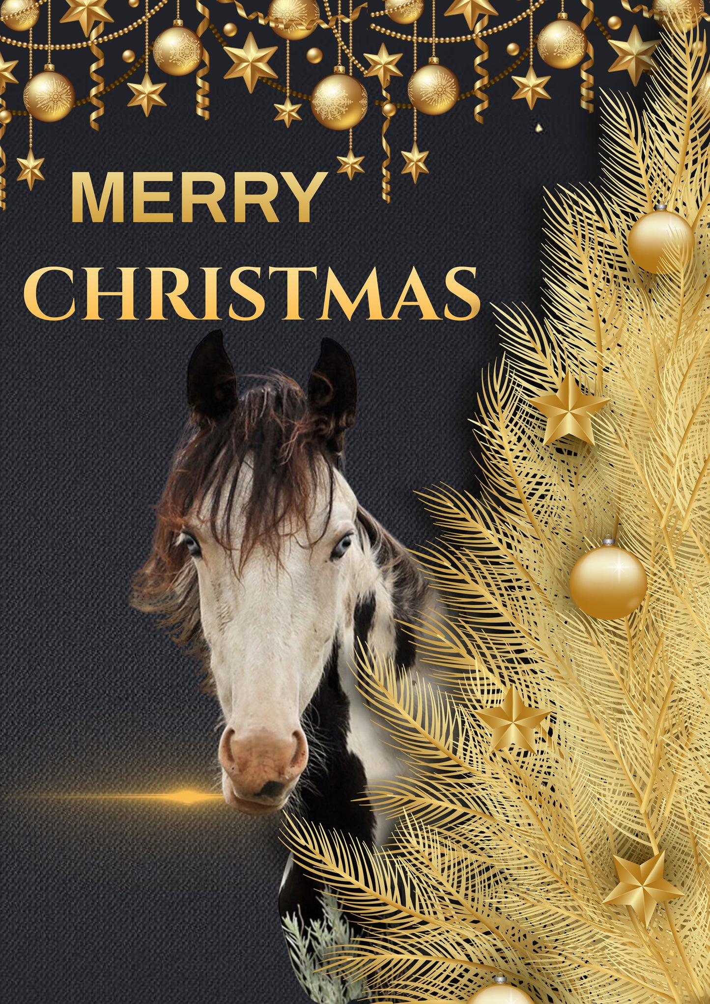 2021 Chasing Horses Christmas Card