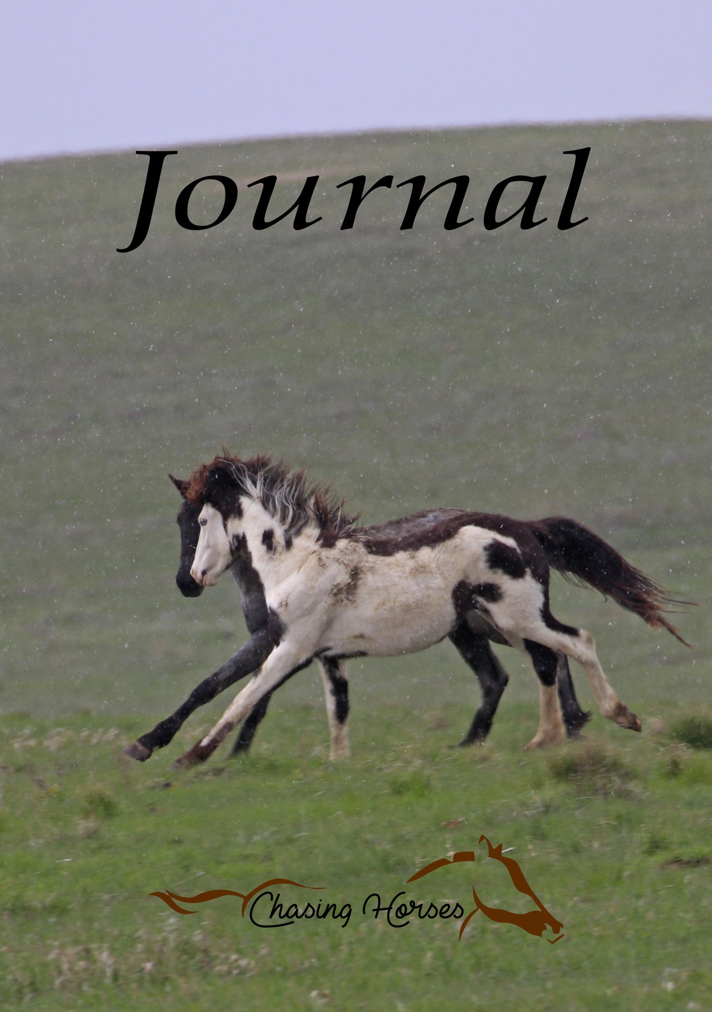 Chasing Horses Journals