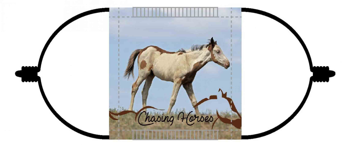 Chasing Horses Children's Face Masks