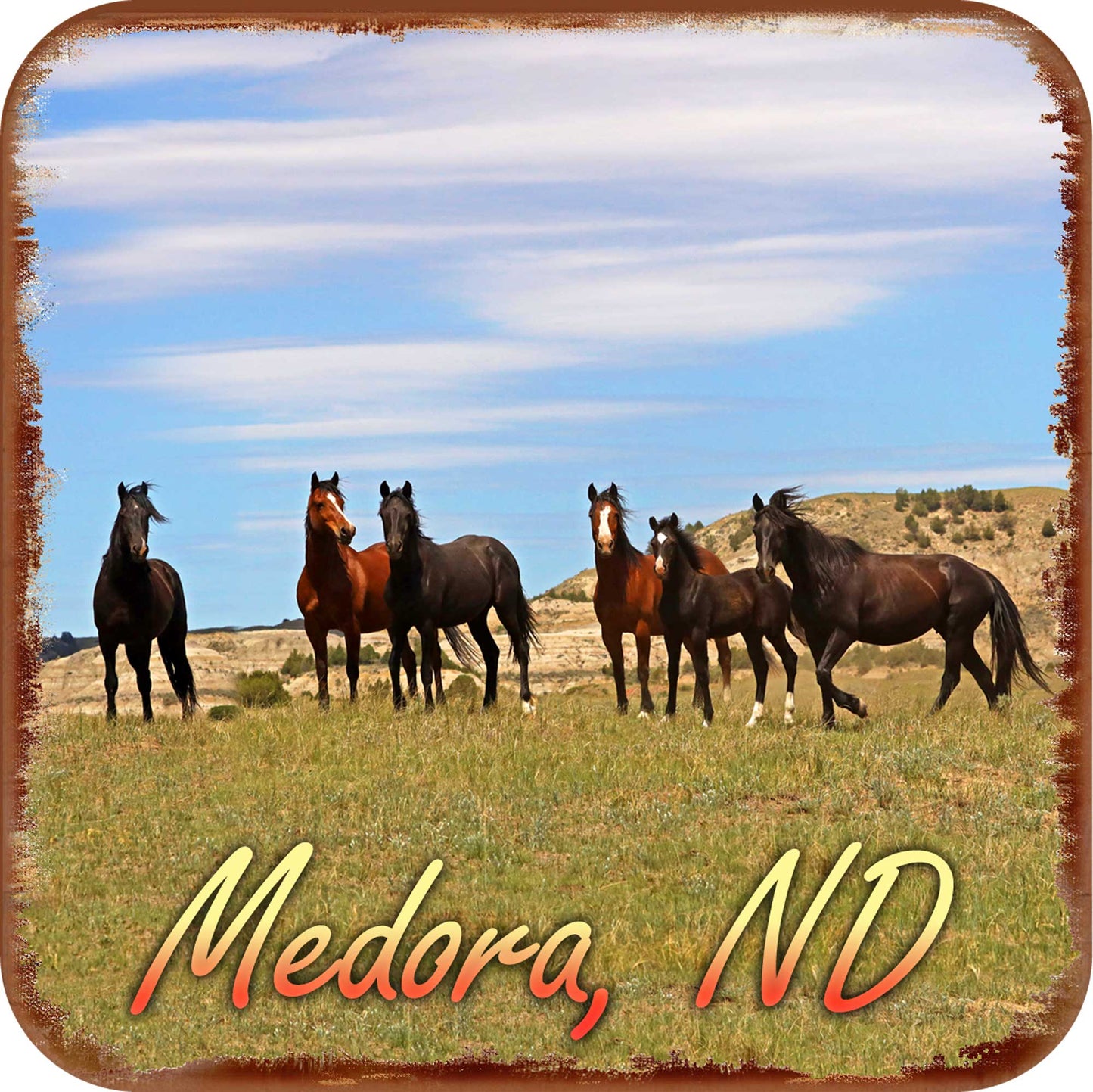 Chasing Horses Wood Coasters