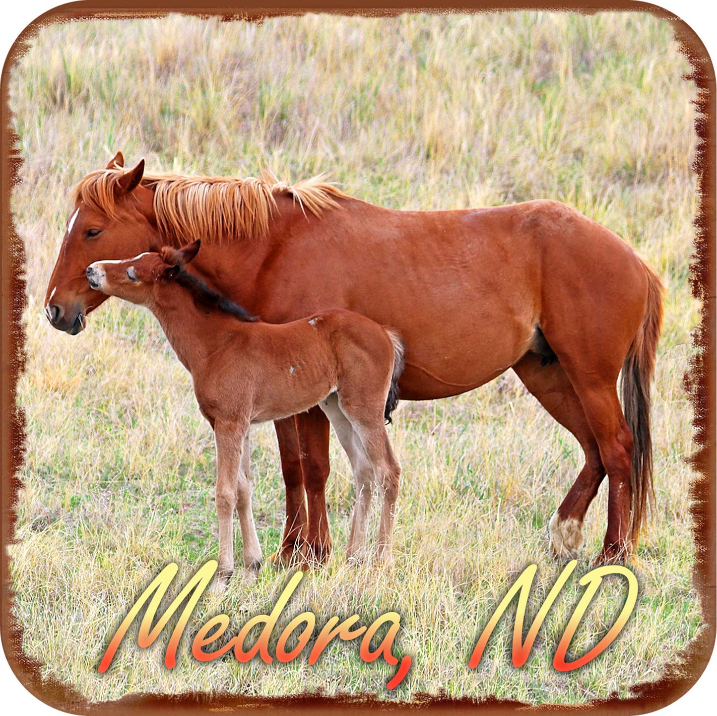 Chasing Horses Wood Coasters