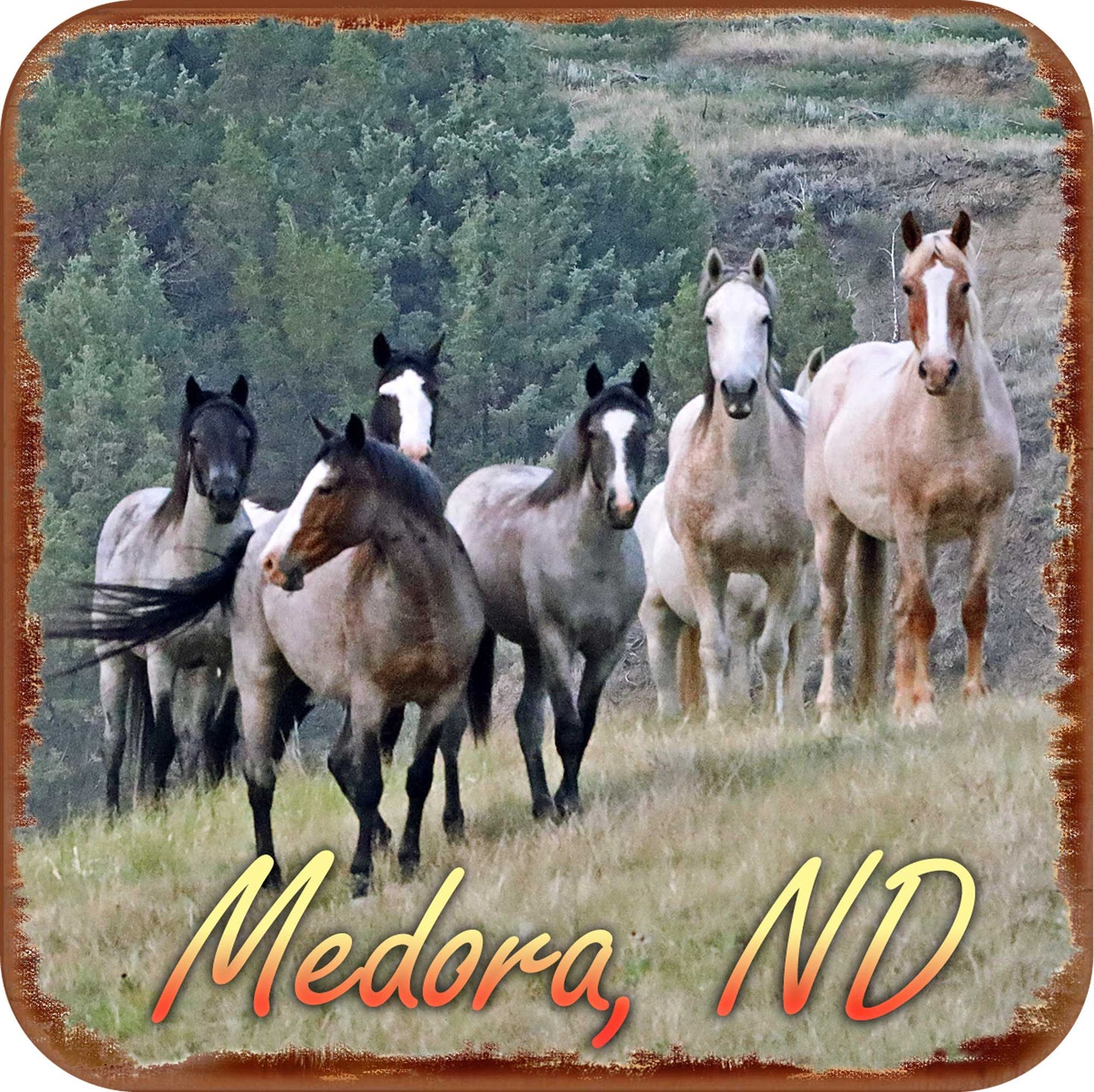 Chasing Horses Wood Coasters