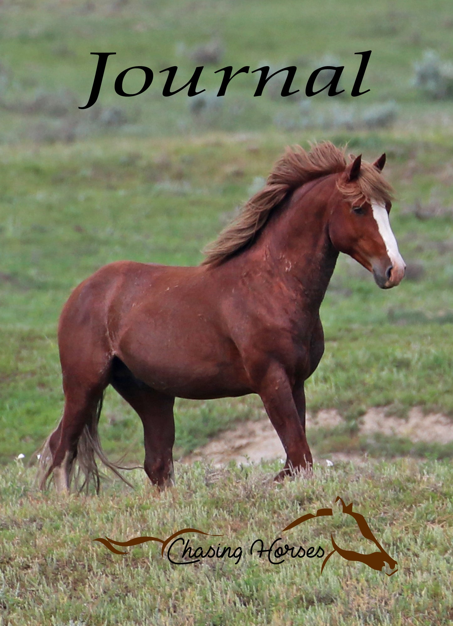 Chasing Horses Journals