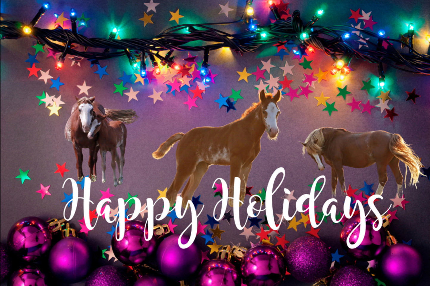2021 Chasing Horses Christmas Card