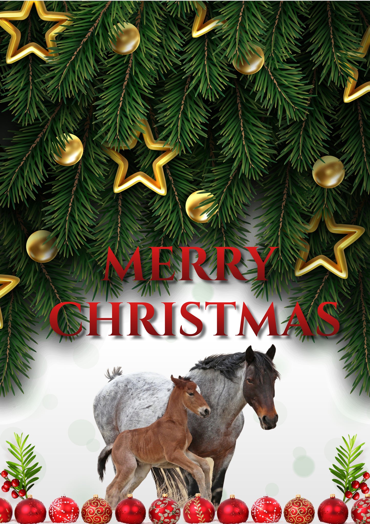 2021 Chasing Horses Christmas Card