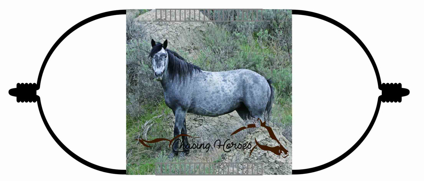Chasing Horses Children's Face Masks