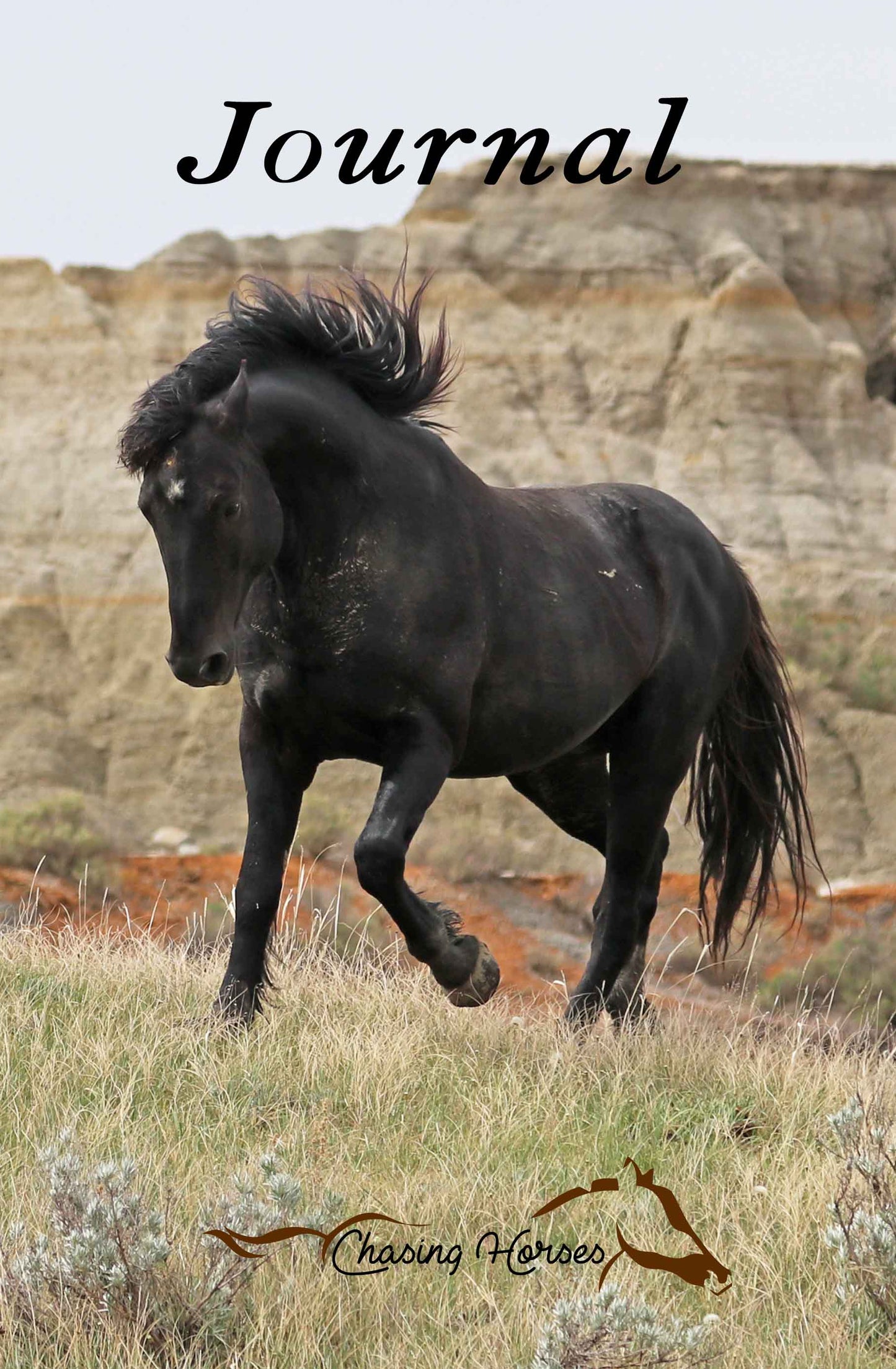 Chasing Horses Journals