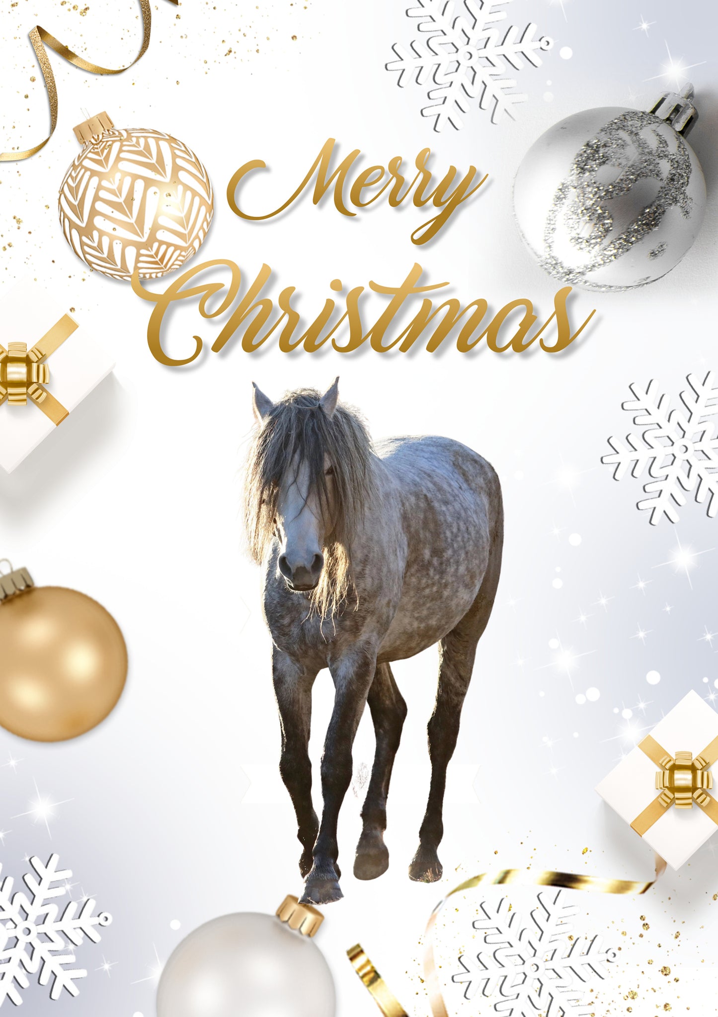 2021 Chasing Horses Christmas Card