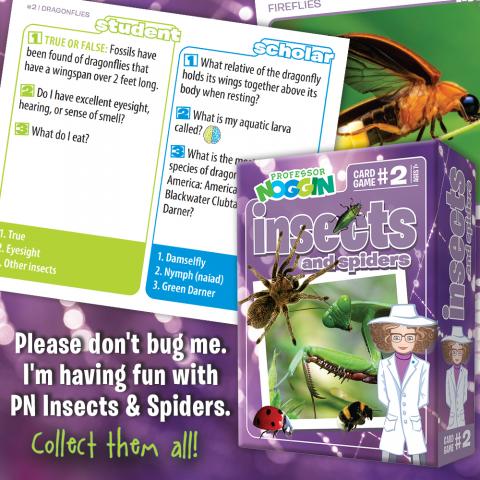Professor Noggins Insects and Spiders